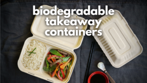 biodegradable takeaway containers header