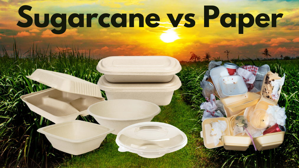 Sugarcane packaging vs paper